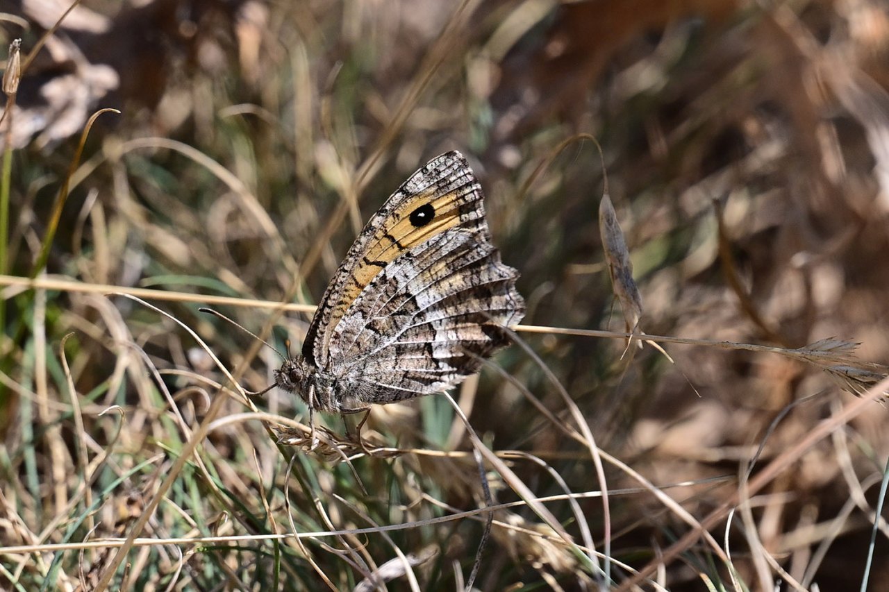 Arazi fotoğrafı
