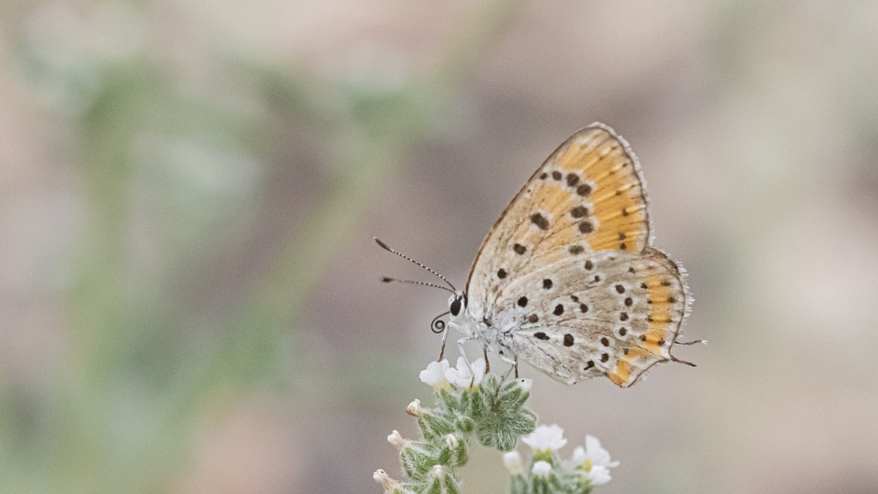 Arazi fotoğrafı