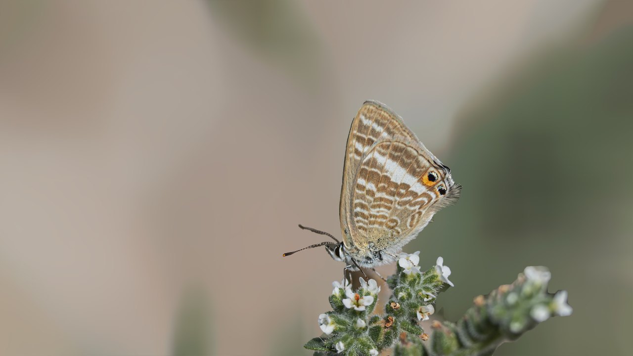 Arazi fotoğrafı