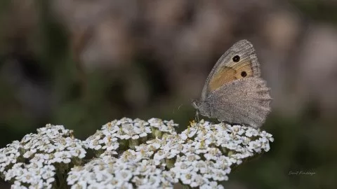 Gördüğüm güzellikler