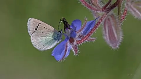 Gördüğüm güzellikler