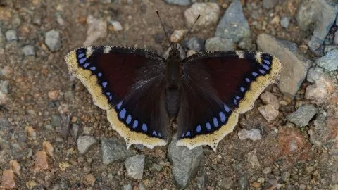 Gördüğüm güzellikler