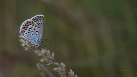 Gördüğüm güzellikler