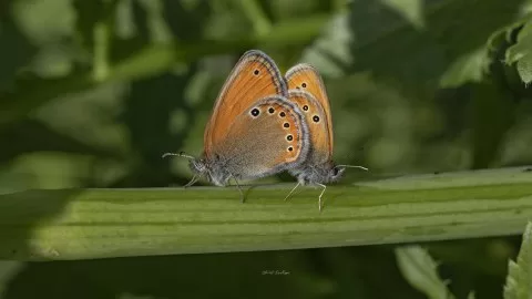 Gördüğüm güzellikler