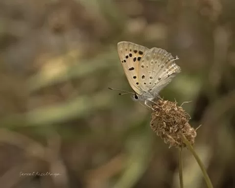Gördüğüm güzellikler