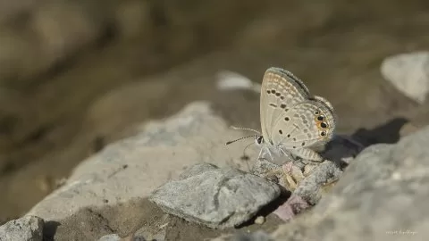 Gördüğüm güzellikler