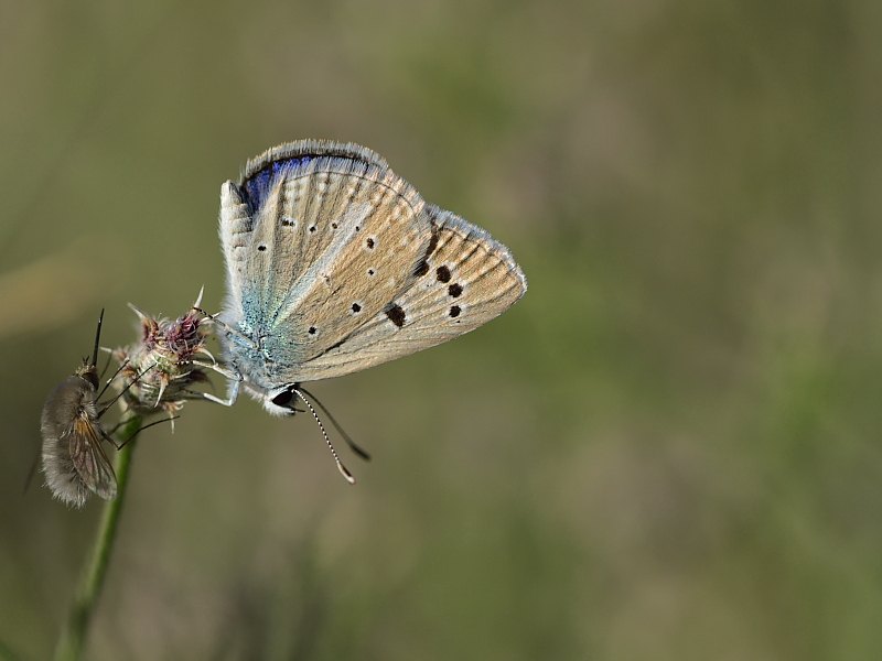 Arazi fotoğrafı