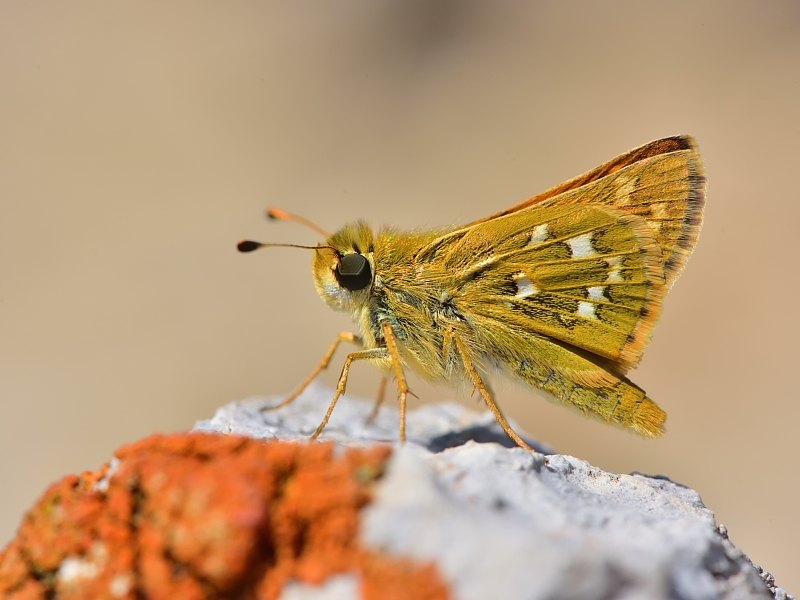 Arazi fotoğrafı