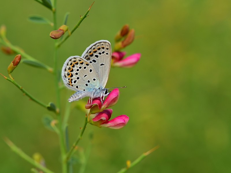Arazi fotoğrafı