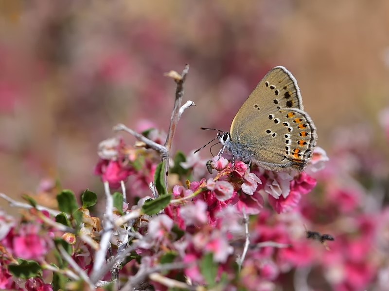 Arazi fotoğrafı