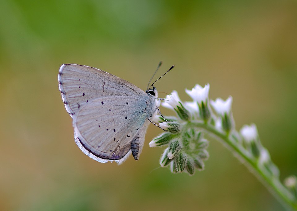 Arazi fotoğrafı