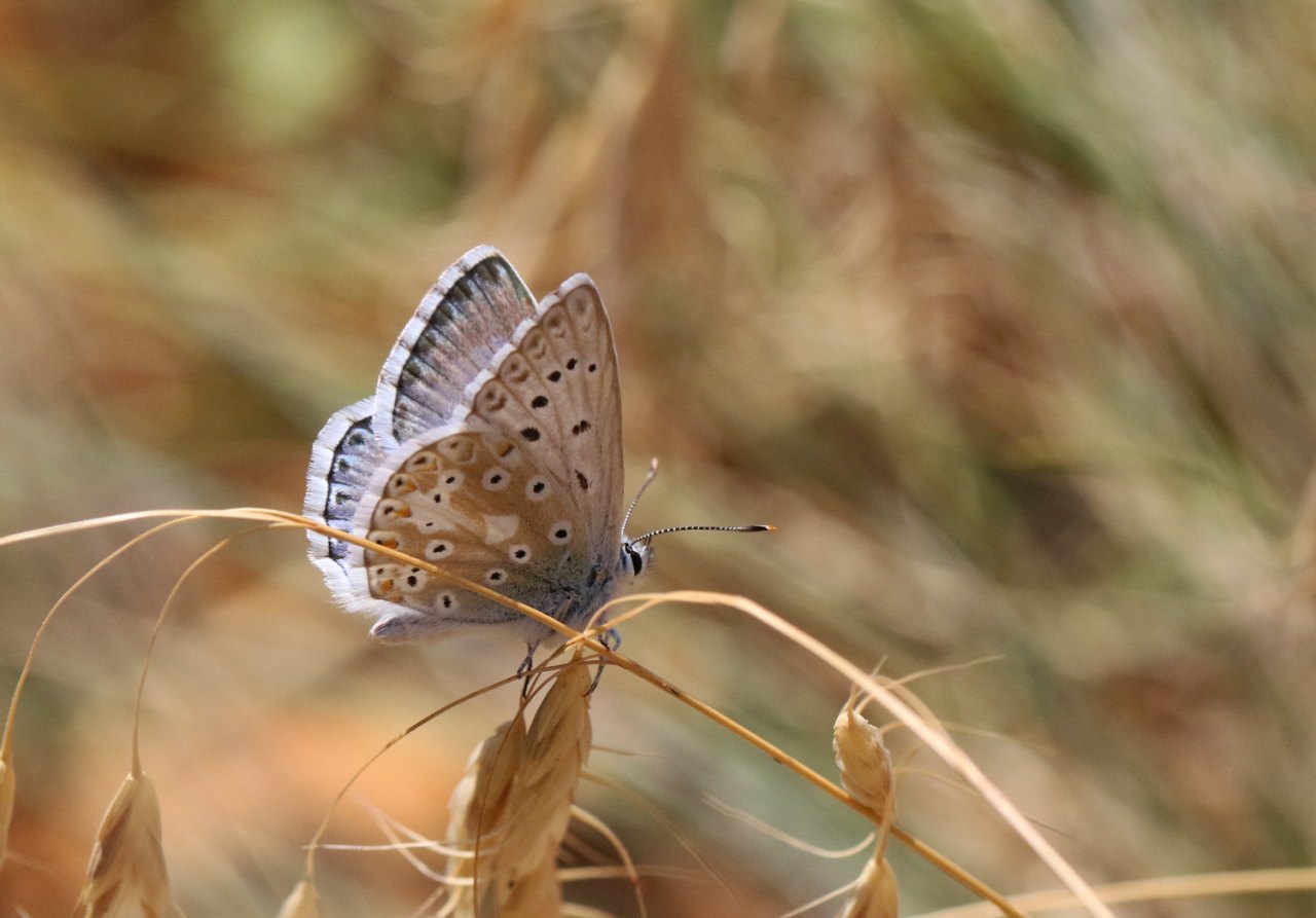 Arazi fotoğrafı