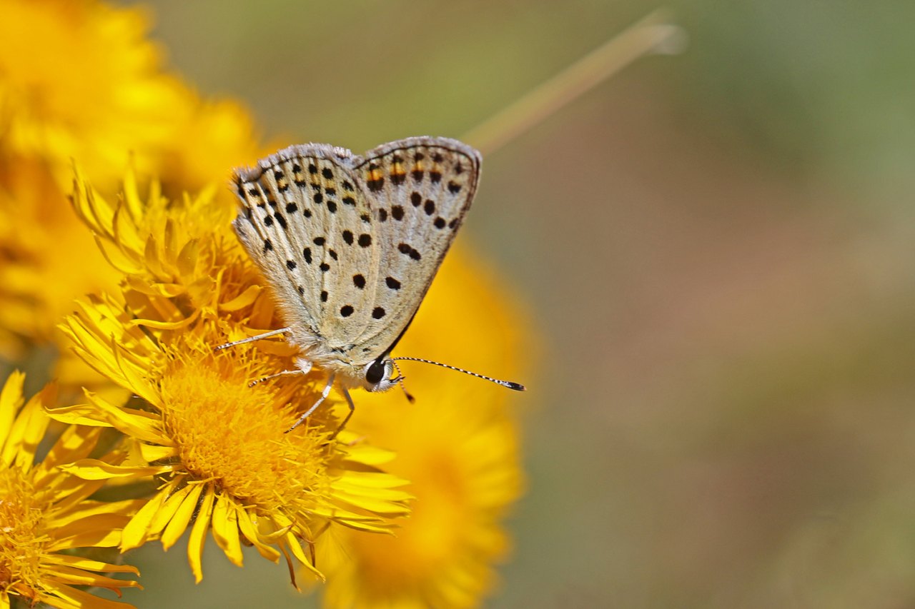 Arazi fotoğrafı
