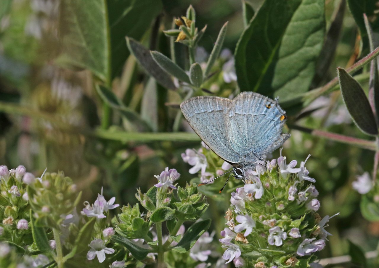 Arazi fotoğrafı