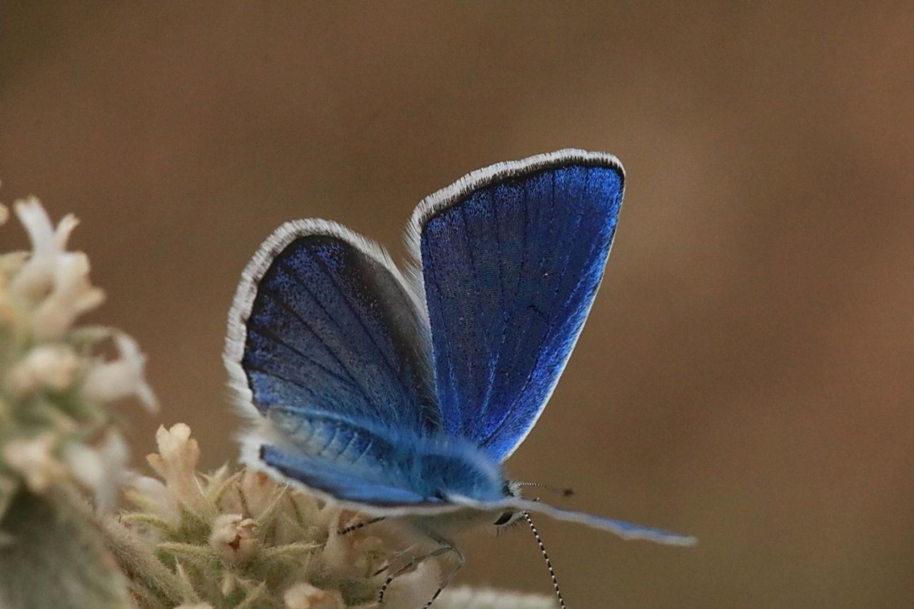 Arazi fotoğrafı