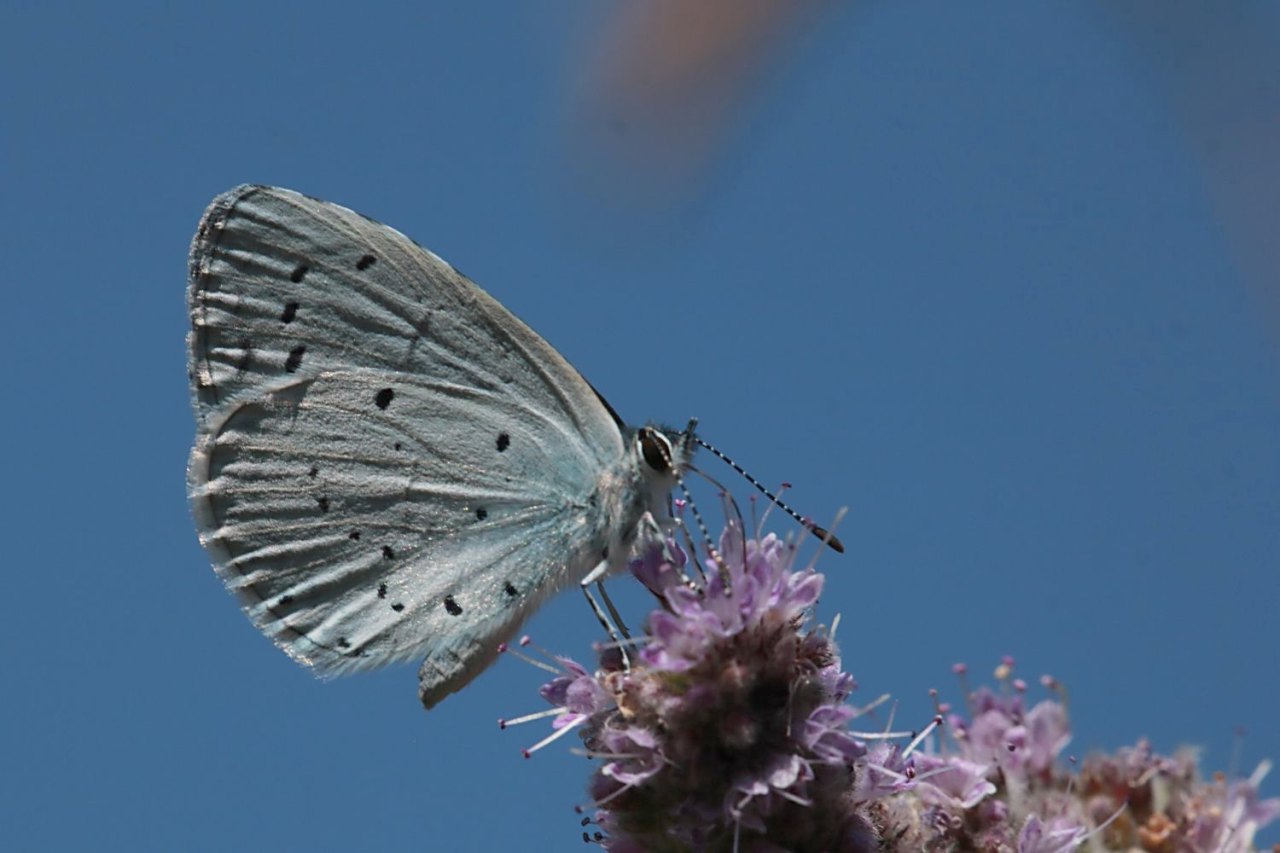 Arazi fotoğrafı
