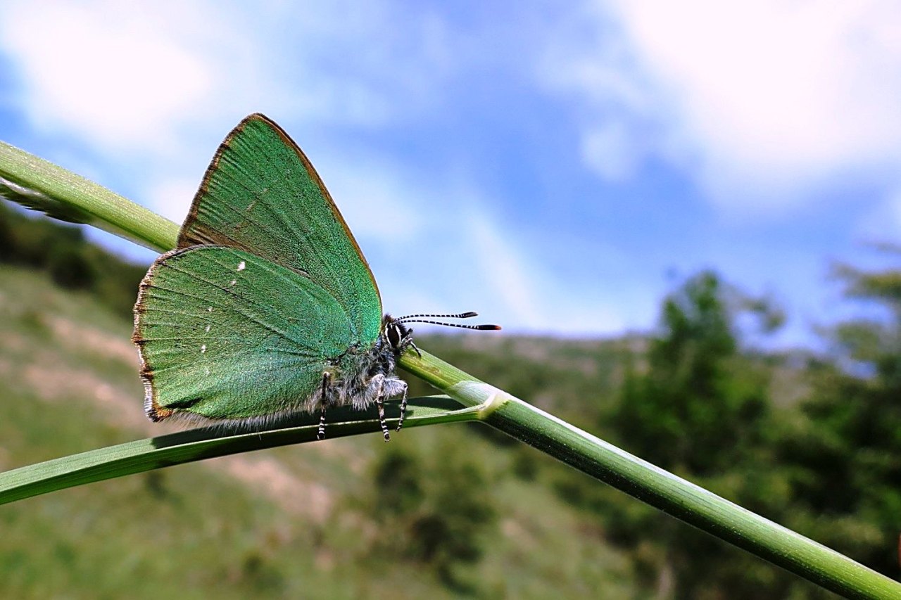 Arazi fotoğrafı