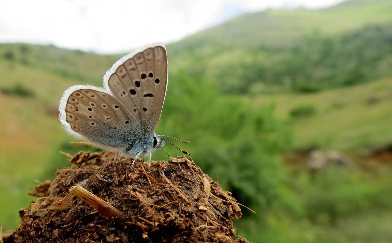 Arazi fotoğrafı