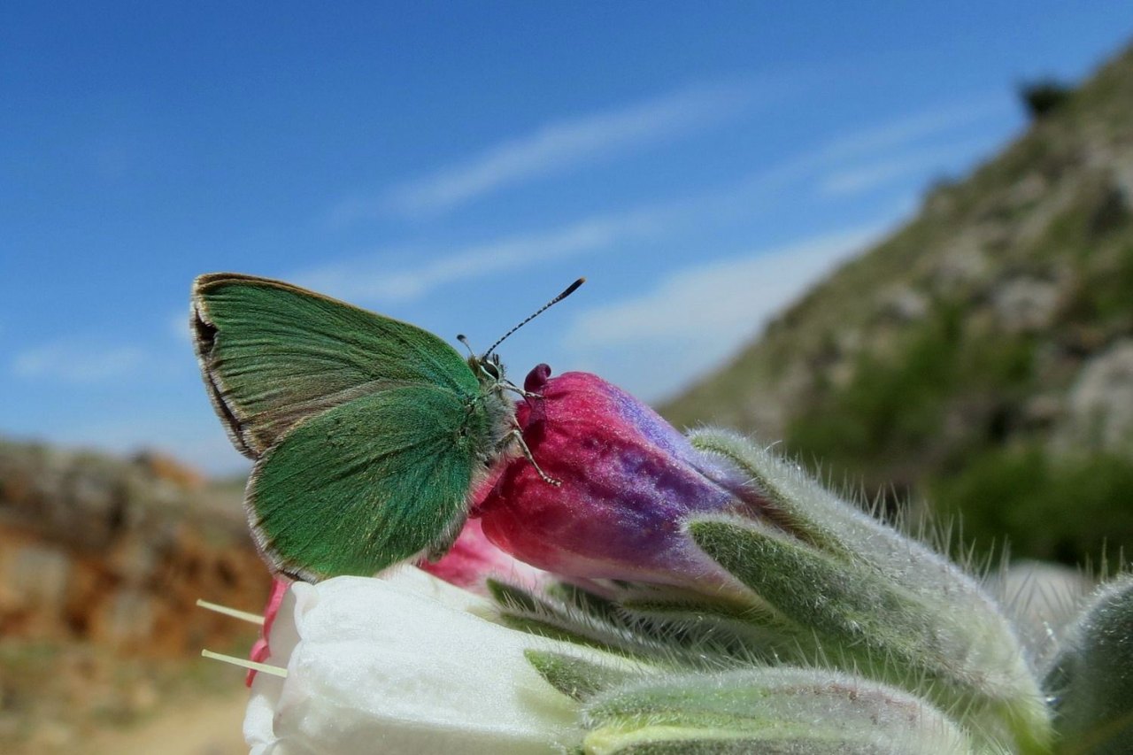 Arazi fotoğrafı