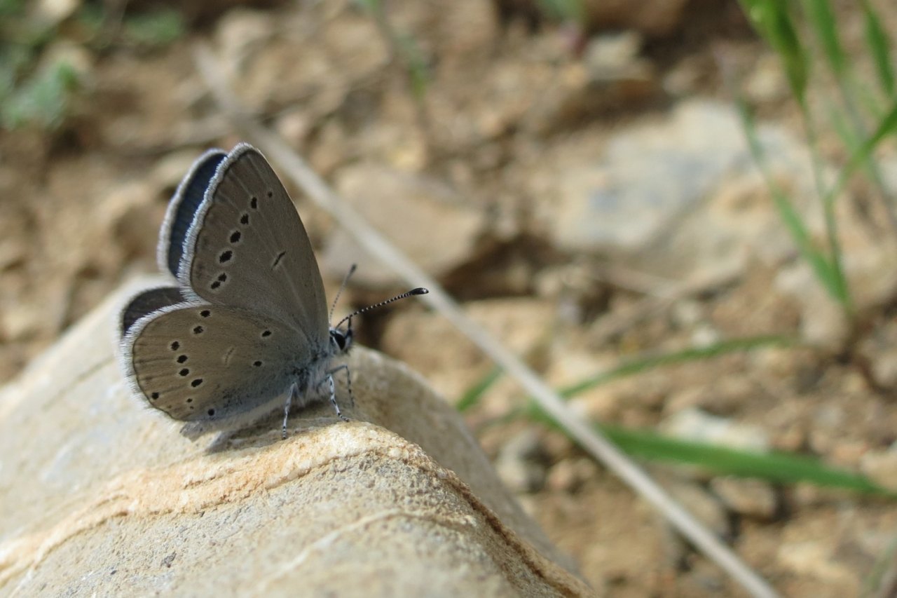 Arazi fotoğrafı
