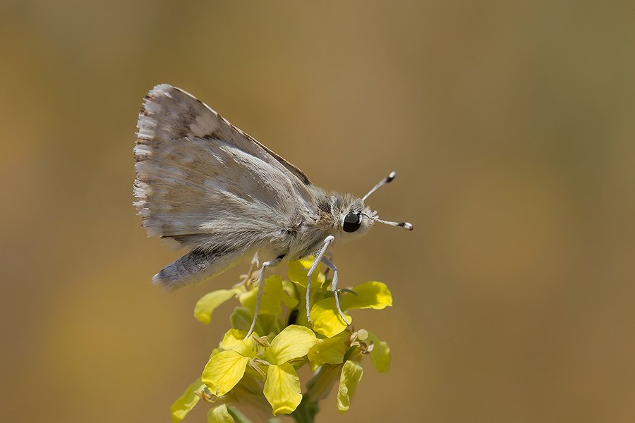 Arazi fotoğrafı