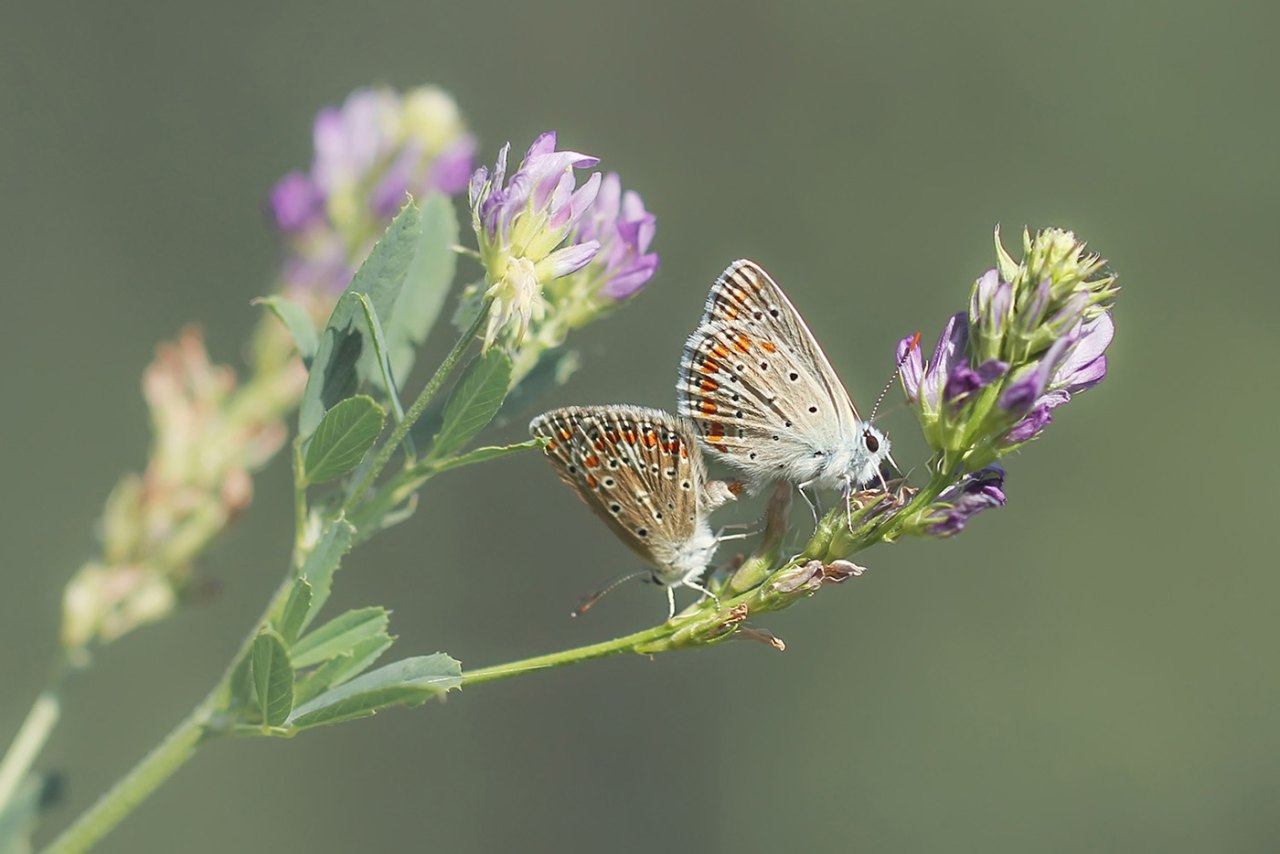 Arazi fotoğrafı