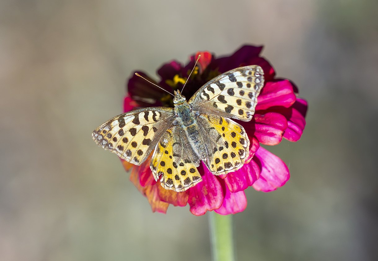 Arazi fotoğrafı