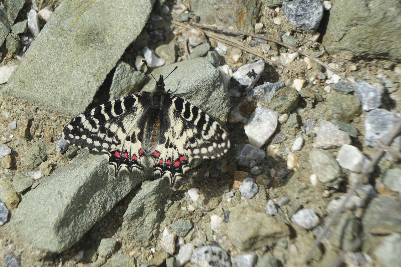 Arazi fotoğrafı