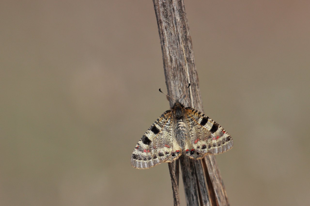 Arazi fotoğrafı