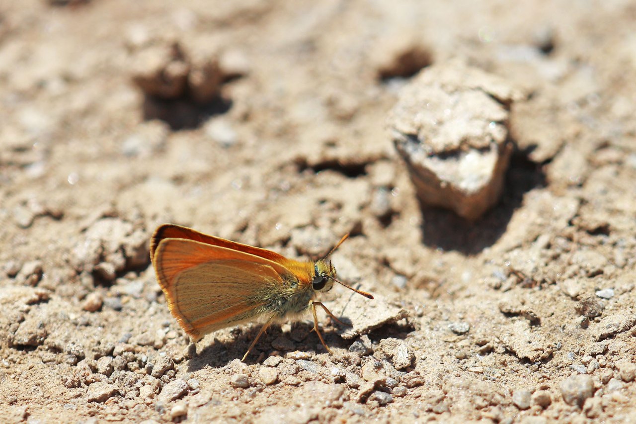 Arazi fotoğrafı