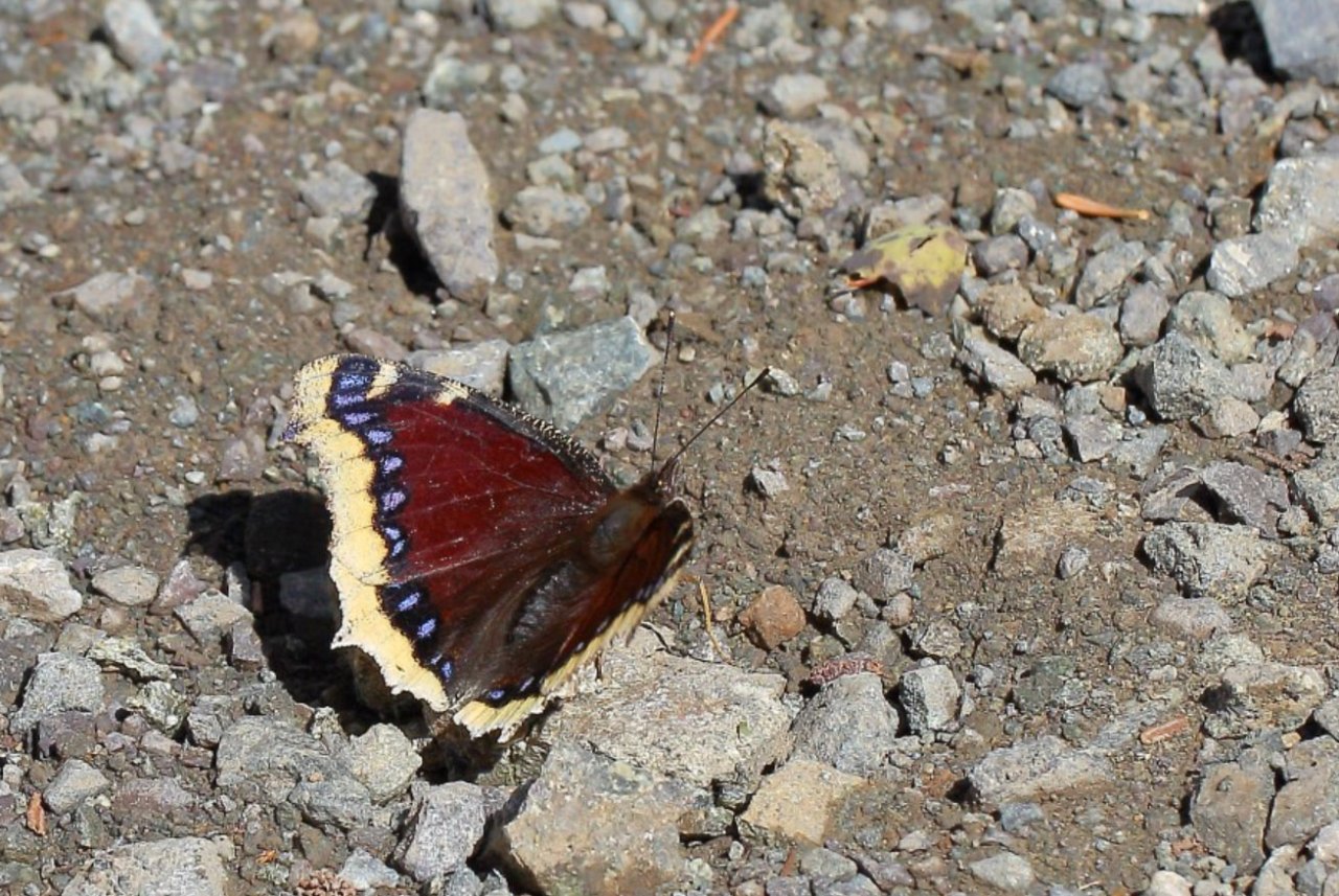 Arazi fotoğrafı