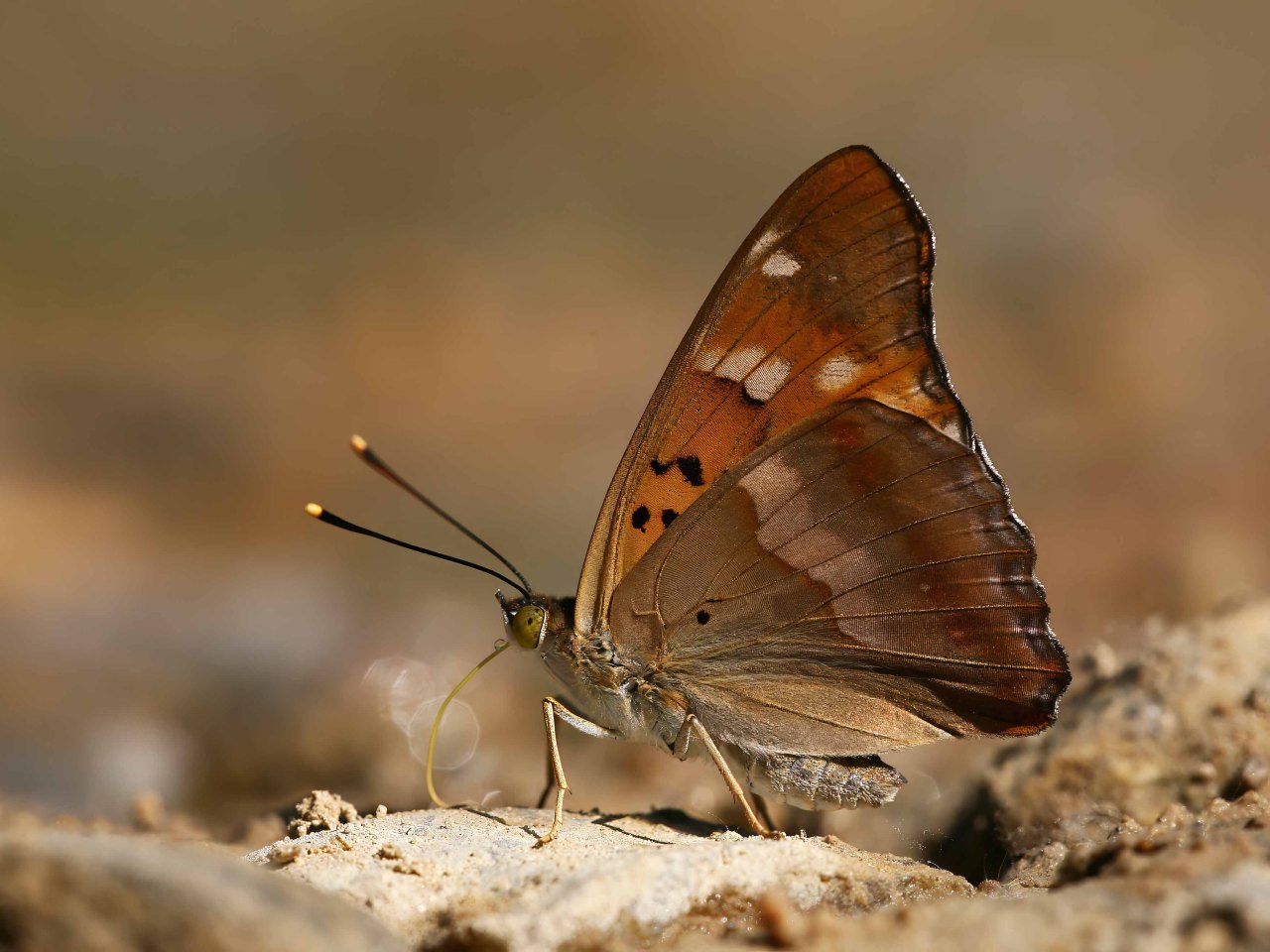 Arazi fotoğrafı