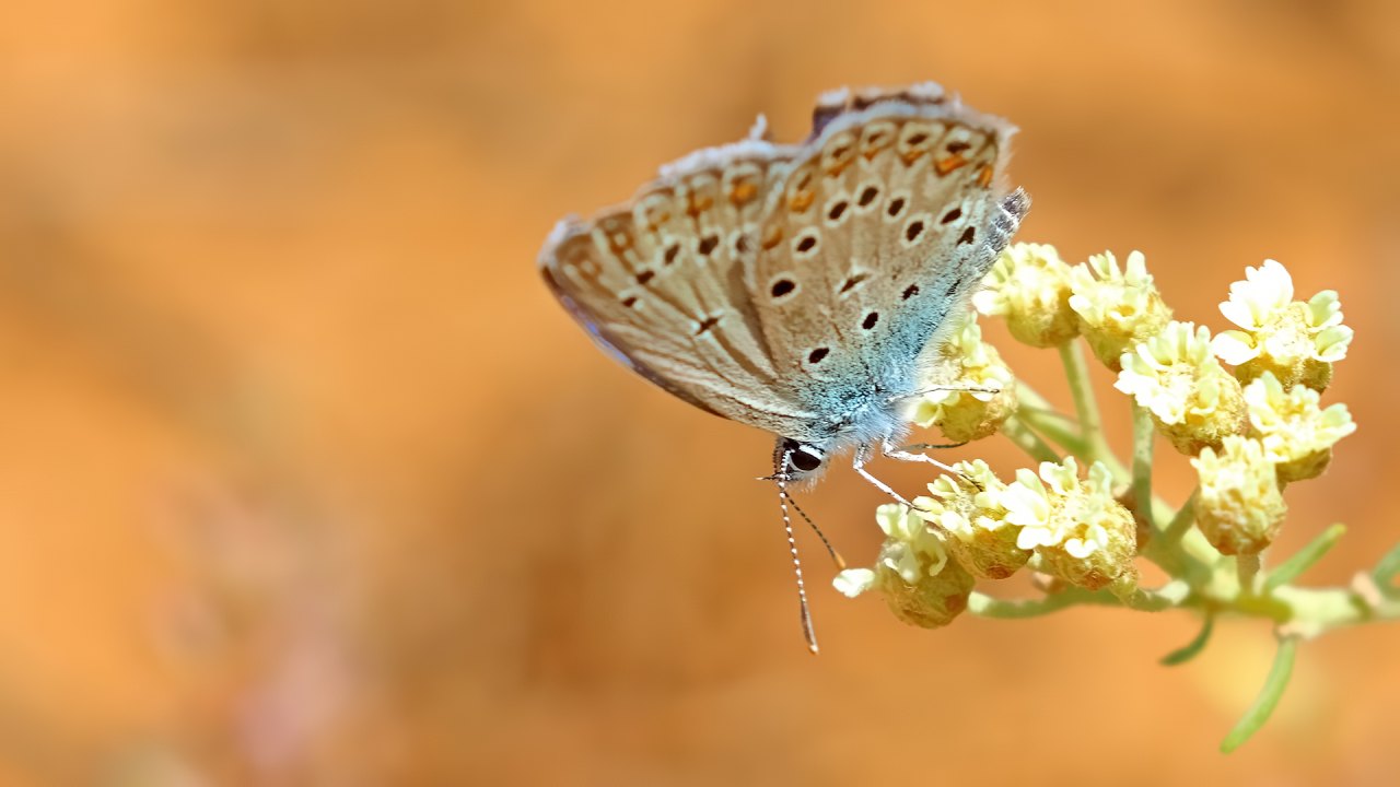 Arazi fotoğrafı