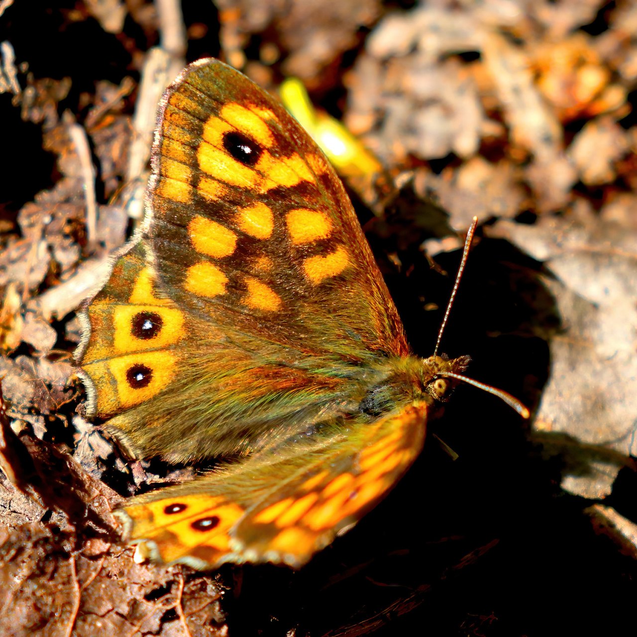 Arazi fotoğrafı