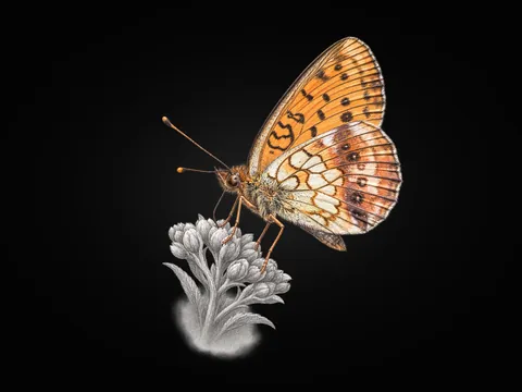 Küçük Brentis